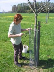 Arbeitseinsatz  2005 05